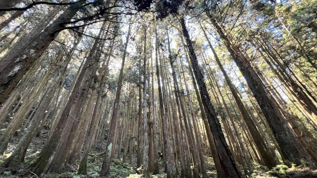 2024.12.29 特富野古道_2720699