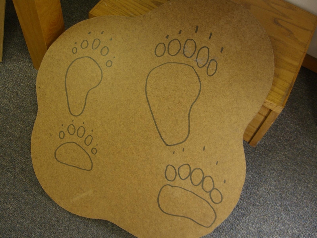 阿拉斯加 露營車 觀賞棕熊 捕食鮭魚健行之旅_51882