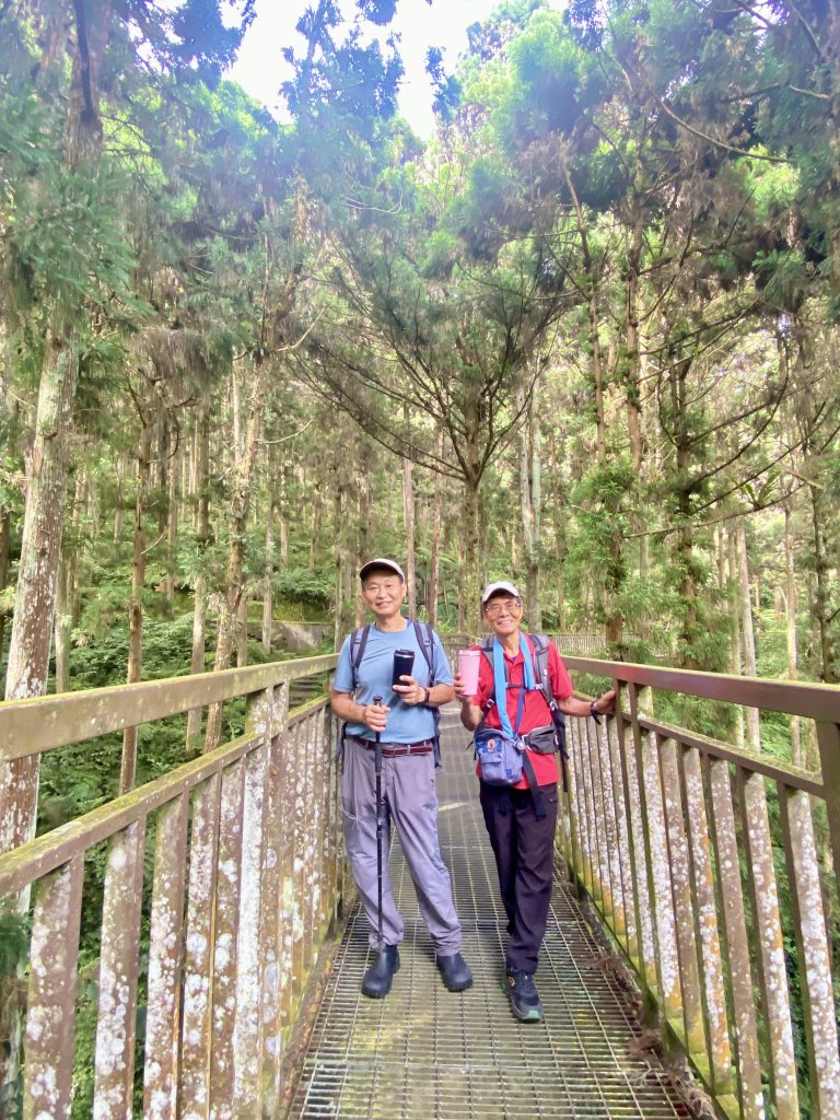 溪頭散步悠遊    2024.5.20_2517694