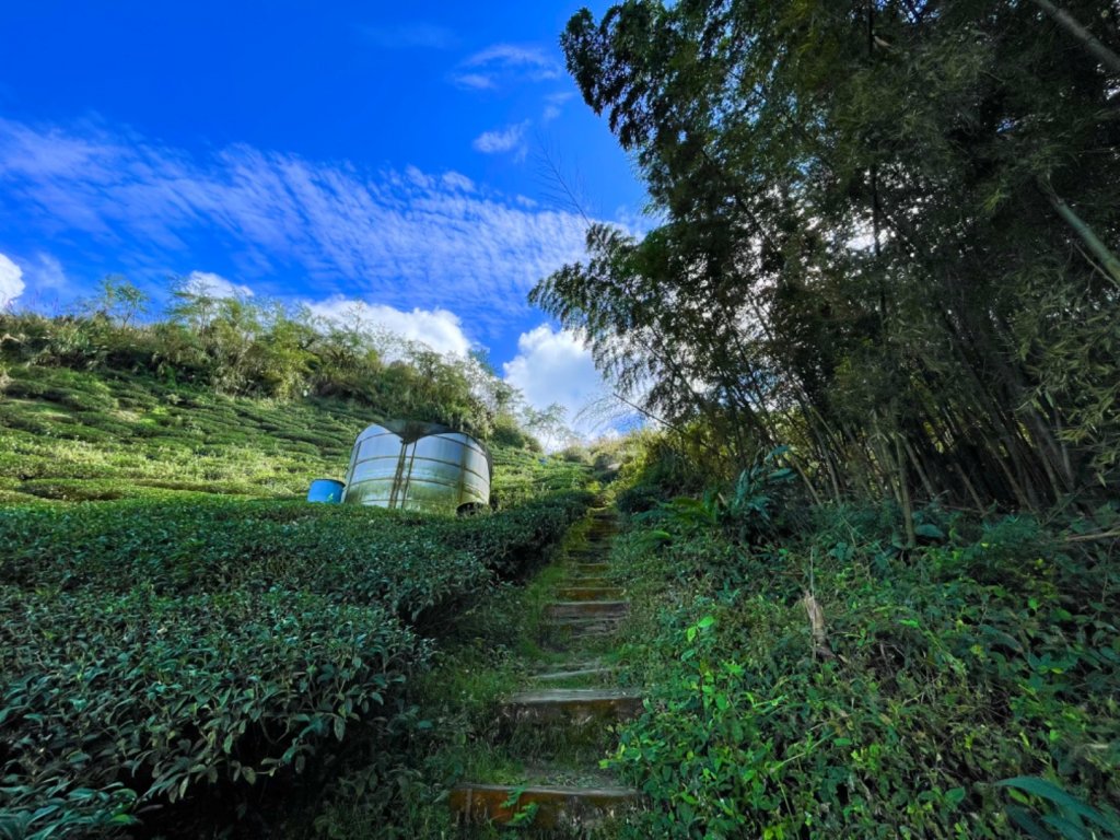 雲霧遊樂園：空氣圖書館走馬鞍山_1560476