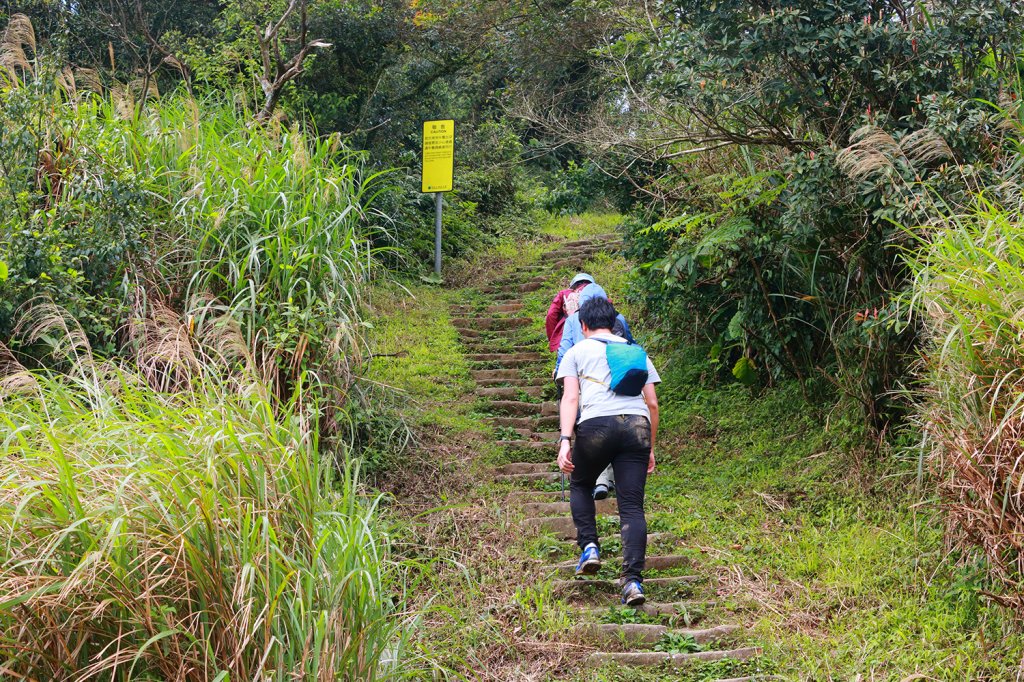 五指山支稜。東陽明山群峰_549889