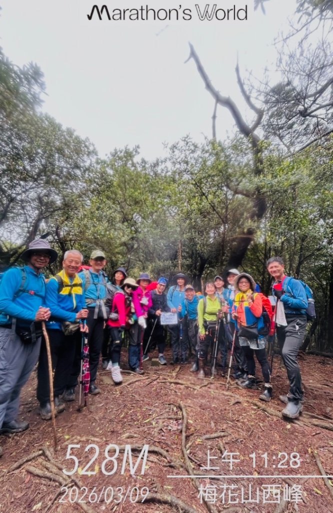 台北縱走第四段訪雙溪山 梅花山與西峰南峰西南峰 碧山_3012805