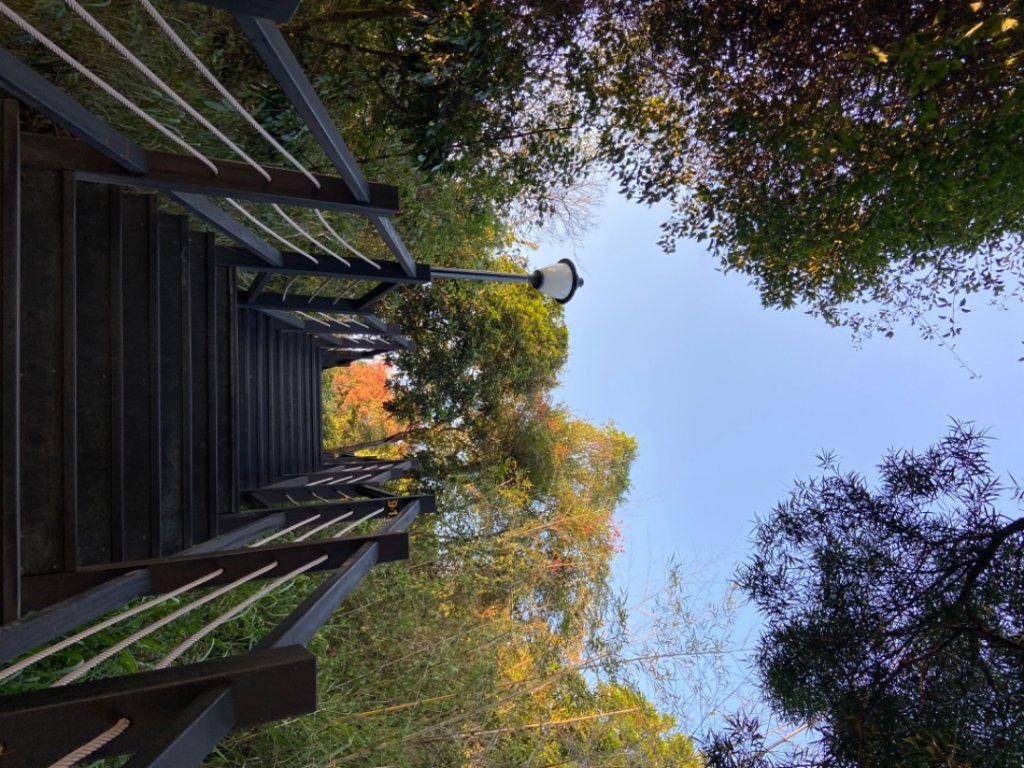 大坑9-10號（傍晚到夜晚）_1926486