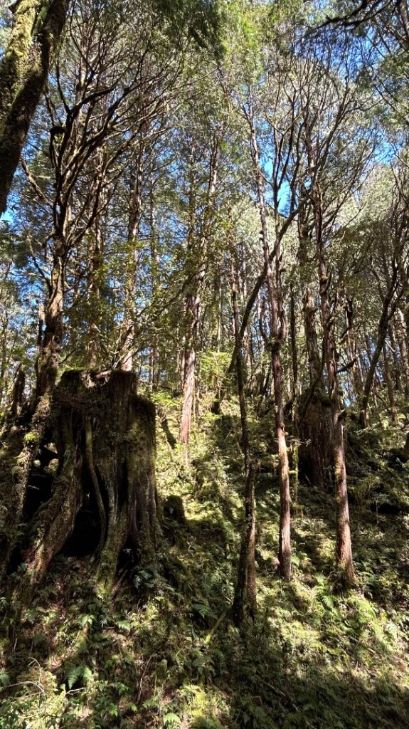 大同舊太平山神社給給池日向台_2748224