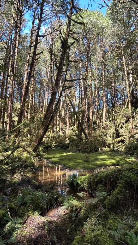 大同舊太平山神社給給池日向台_2748221