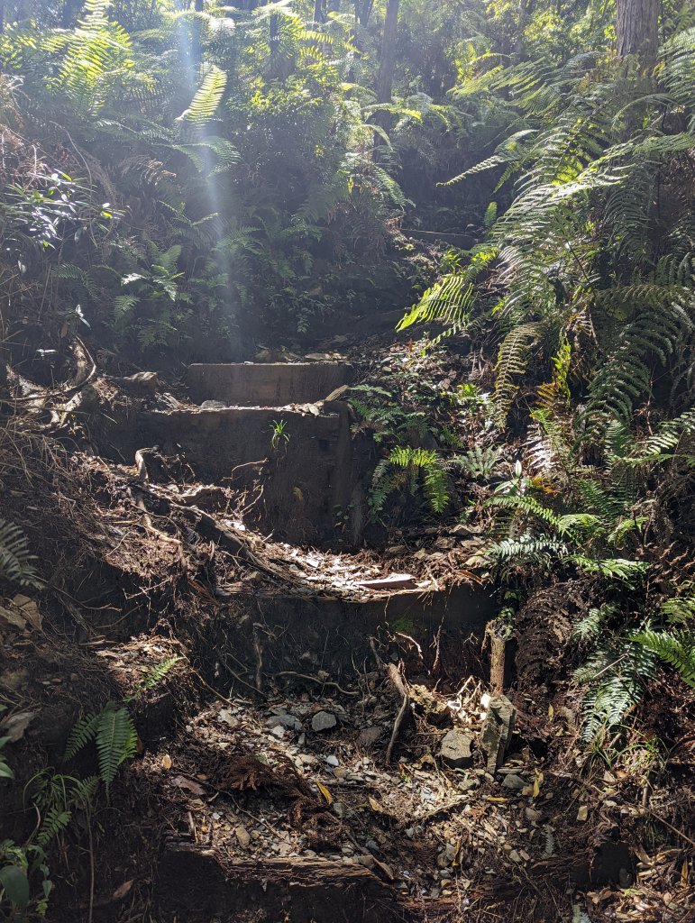 谷關七雄：八仙山_1744113