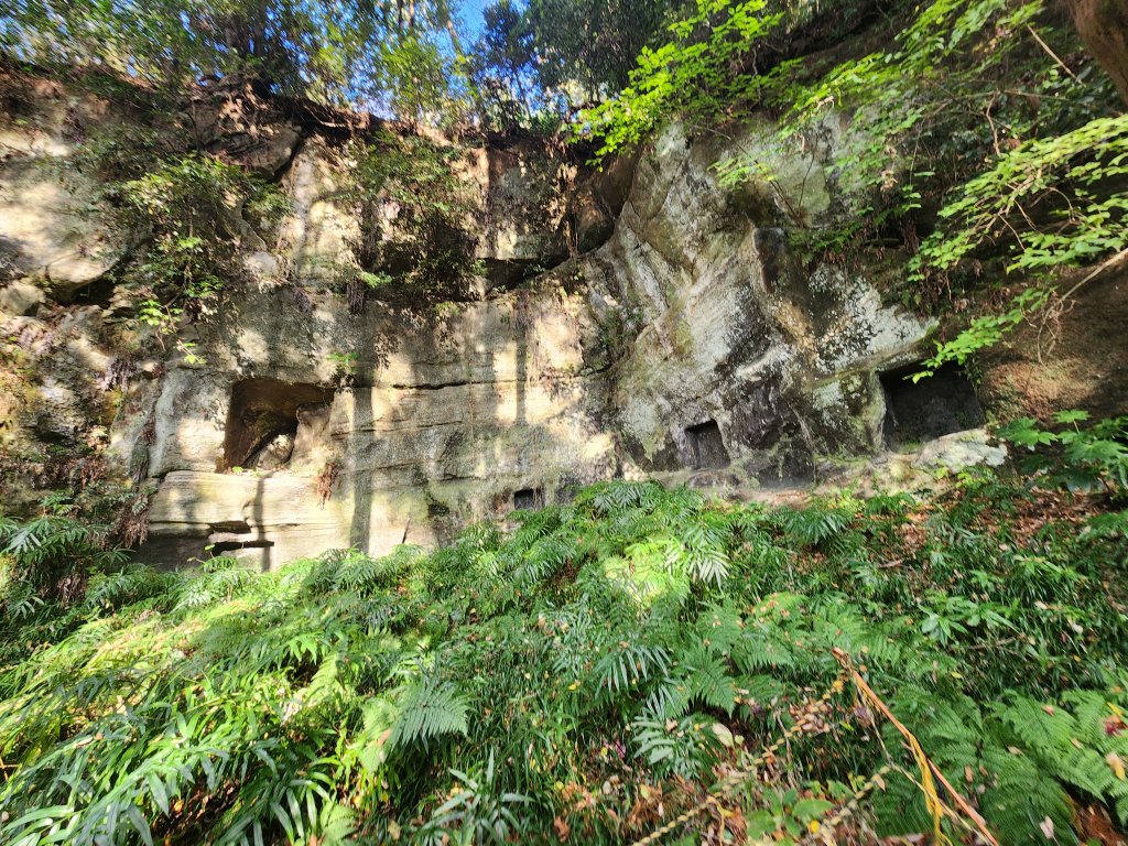 20251128橫須賀軍港遊船+鎌倉大佛步道_2962746