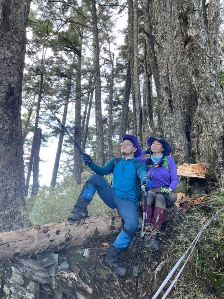 中橫之 屏風山_2611915