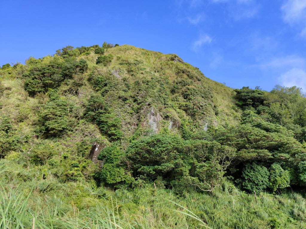 2023.09.09 七星山主、東峰步道_2481025