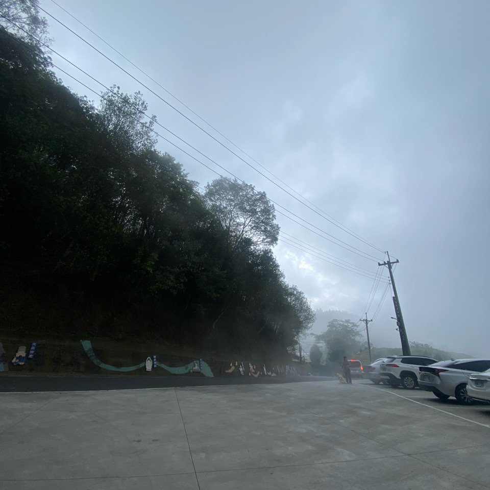 20240505梨子腳山步道_2498618