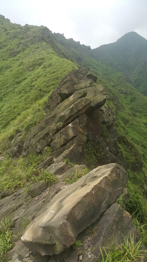 劍龍稜、鋸齒稜、半屏山、茶壺山_55070