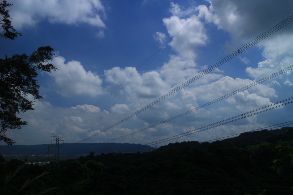 雲林．林內龍過脈森林步道2023/07/22_2237647