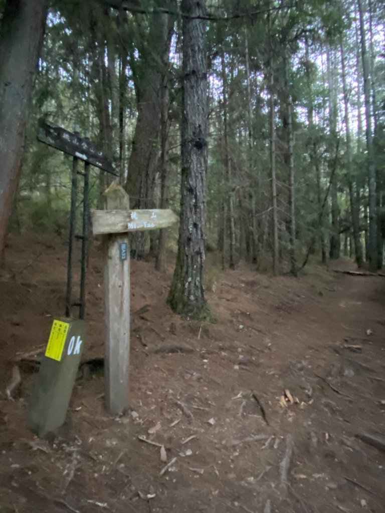 桃山。今夏最美的360度大景_1482807