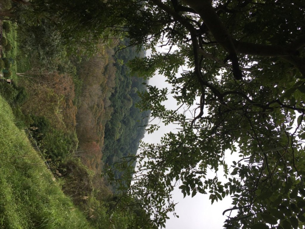 石門山o_2664120