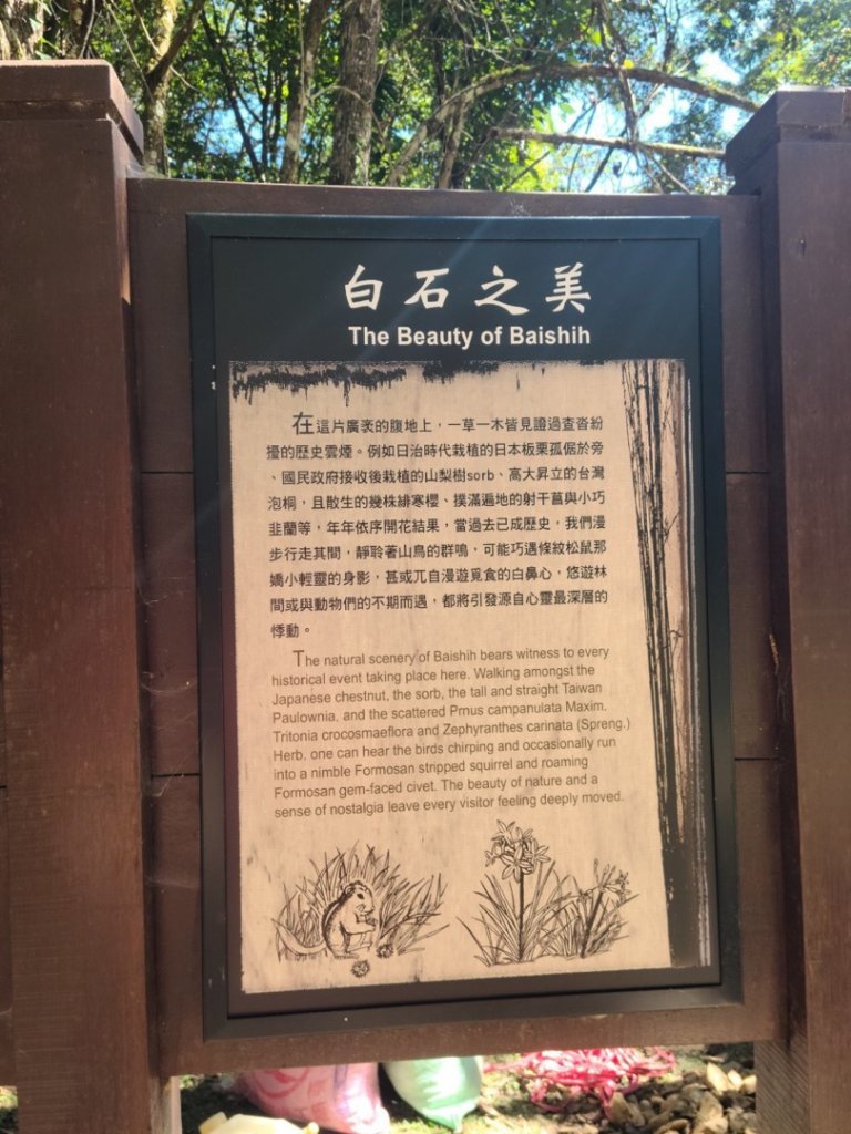 雙十霞喀羅_1484648