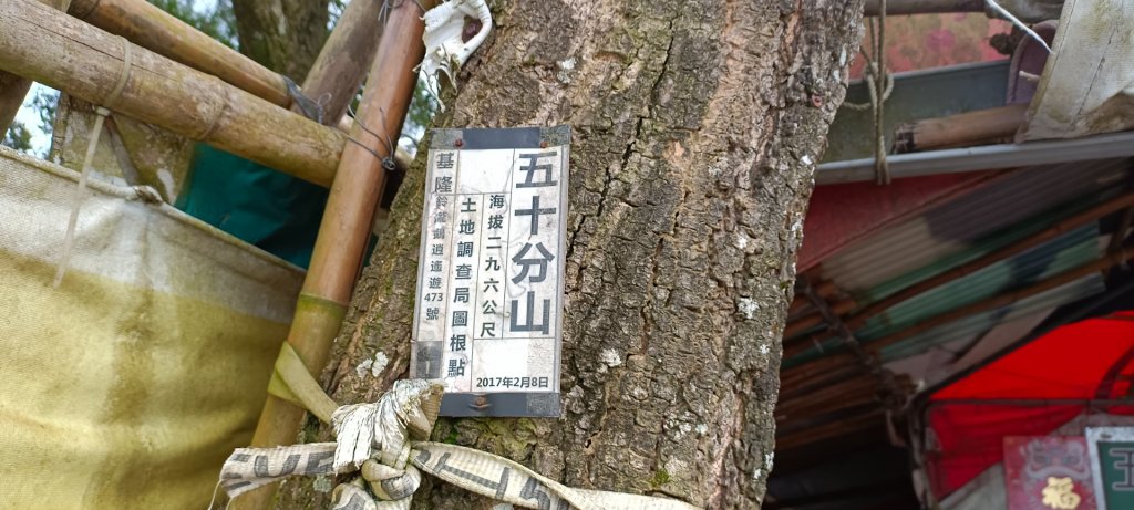 五十分山+福德坑山-2022/02/26_1619395