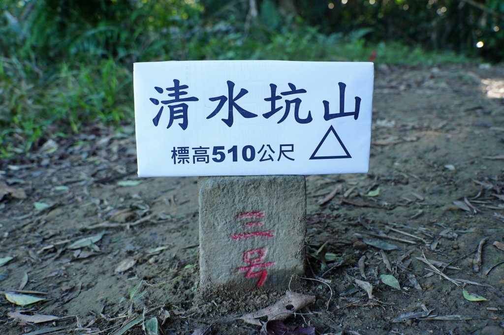 桃園 龍潭 太平山、清水坑山、石門山、小粗坑山、大竹坑山_2977109