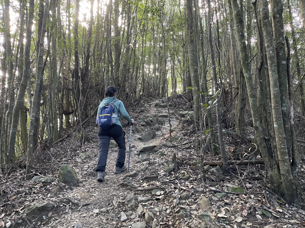 【台中】谷關七雄｜大雪山上屋我尾山_1319765