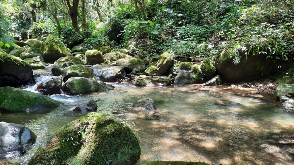 《新竹》古道巡禮｜馬胎古道20220716封面圖