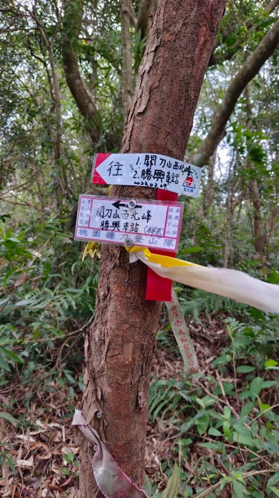 苗栗關刀山/關刀山西北峰（全線打通）_2039996