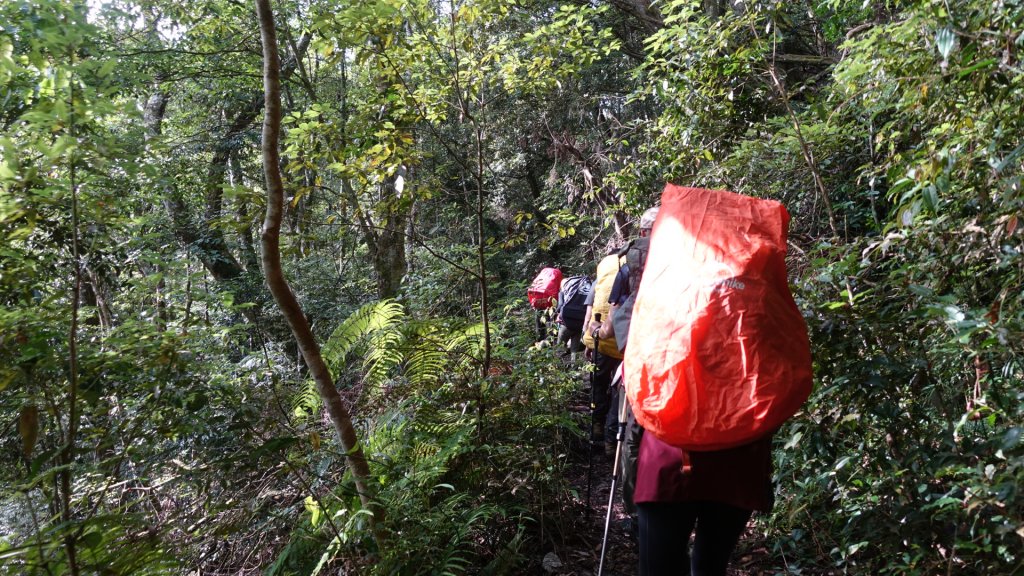 雙龍林道上巒安堂西巒大山_1778721