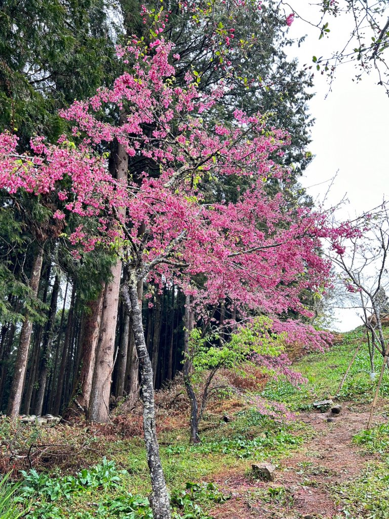 2023尋訪消失的眠月線聚焦失落沉寂的百年鐵道之旅_2110486