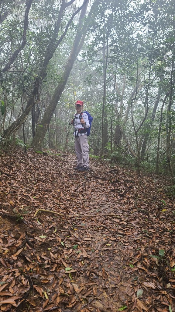 2025-01232淡蘭古道北二段(燦光寮古道到澳底)_2696622