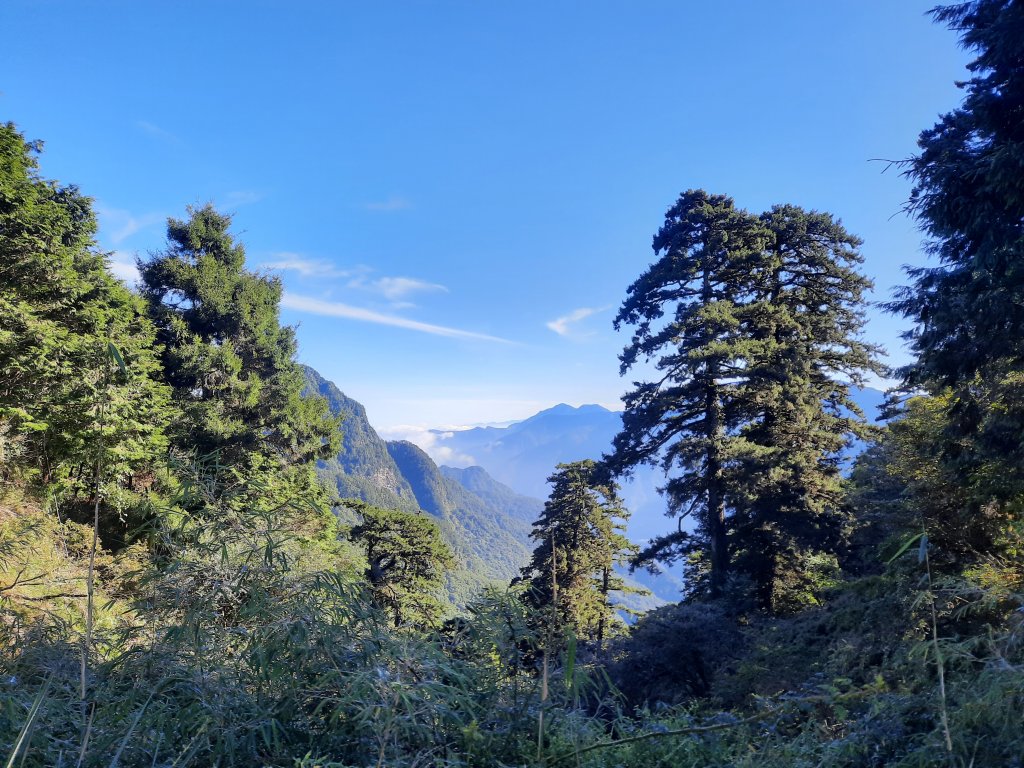 玉山前峰 真的是爬山_1059547