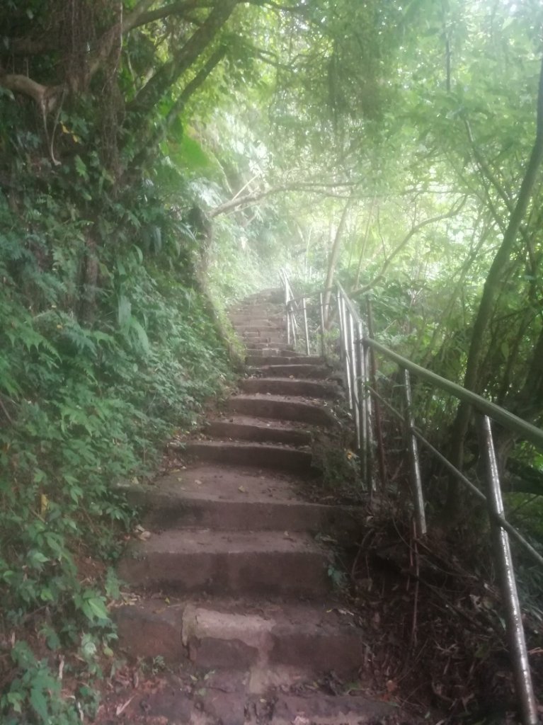 小百岳013號～南港山，幾乎整路爬樓梯，不怕樓梯者限定_1348537