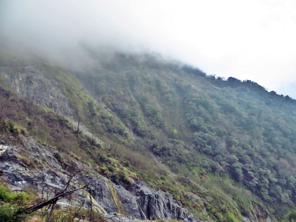 奇萊南華行_35450