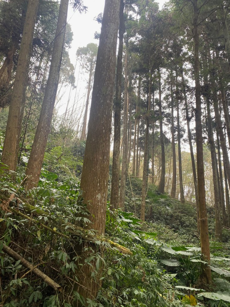 1120329奮瑞古道_2643520