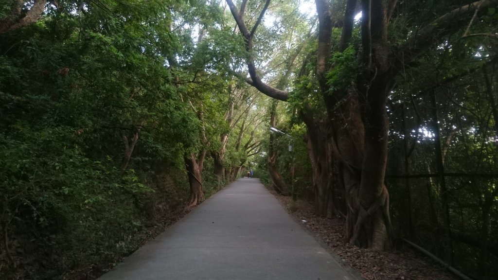 20181028大崗山步道O形環線_446806