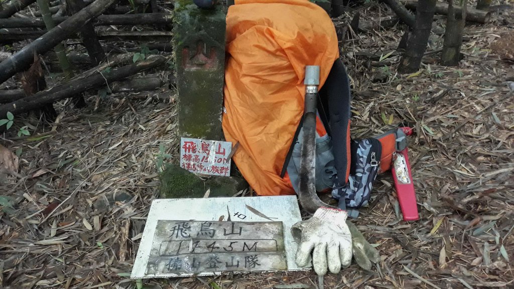 竹崎九連環天王風華再現~雲嘉連峰2.0版_1106613