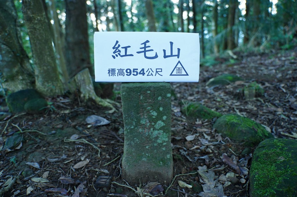 苗栗 南庄 紅毛山、無名山、大坪山封面圖