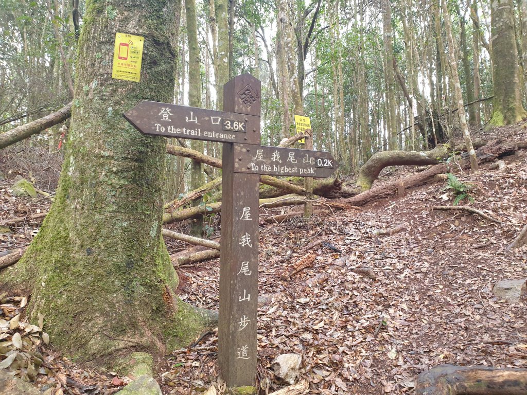 麗陽上屋我尾山封面圖