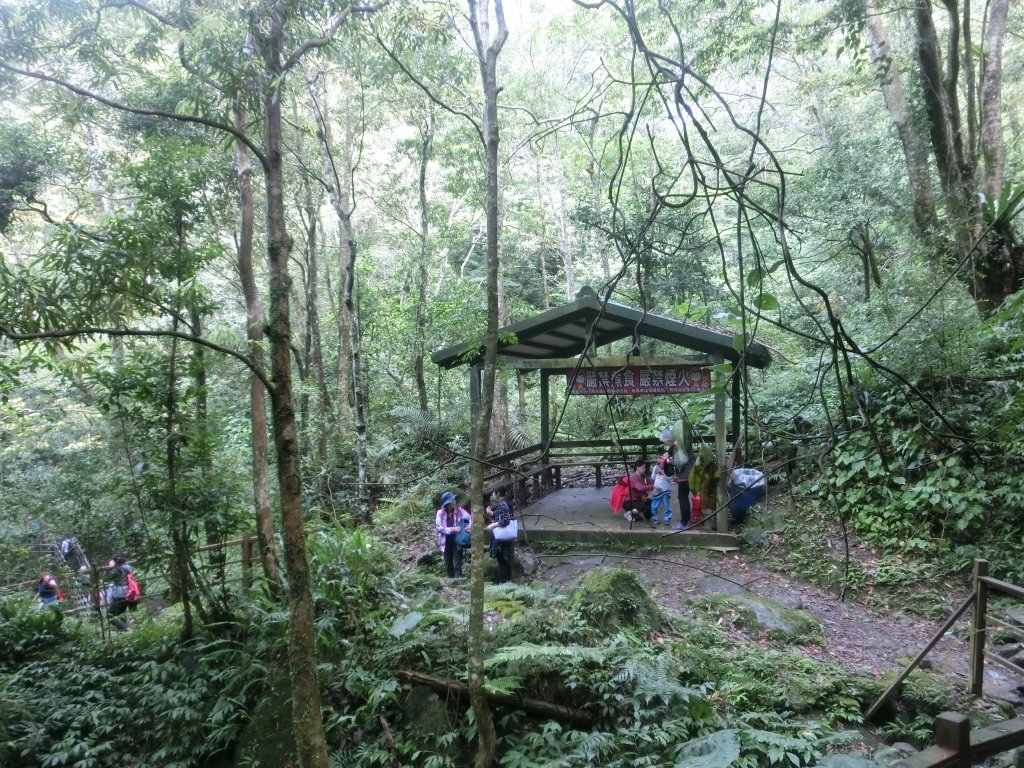 馬武督森林_566541