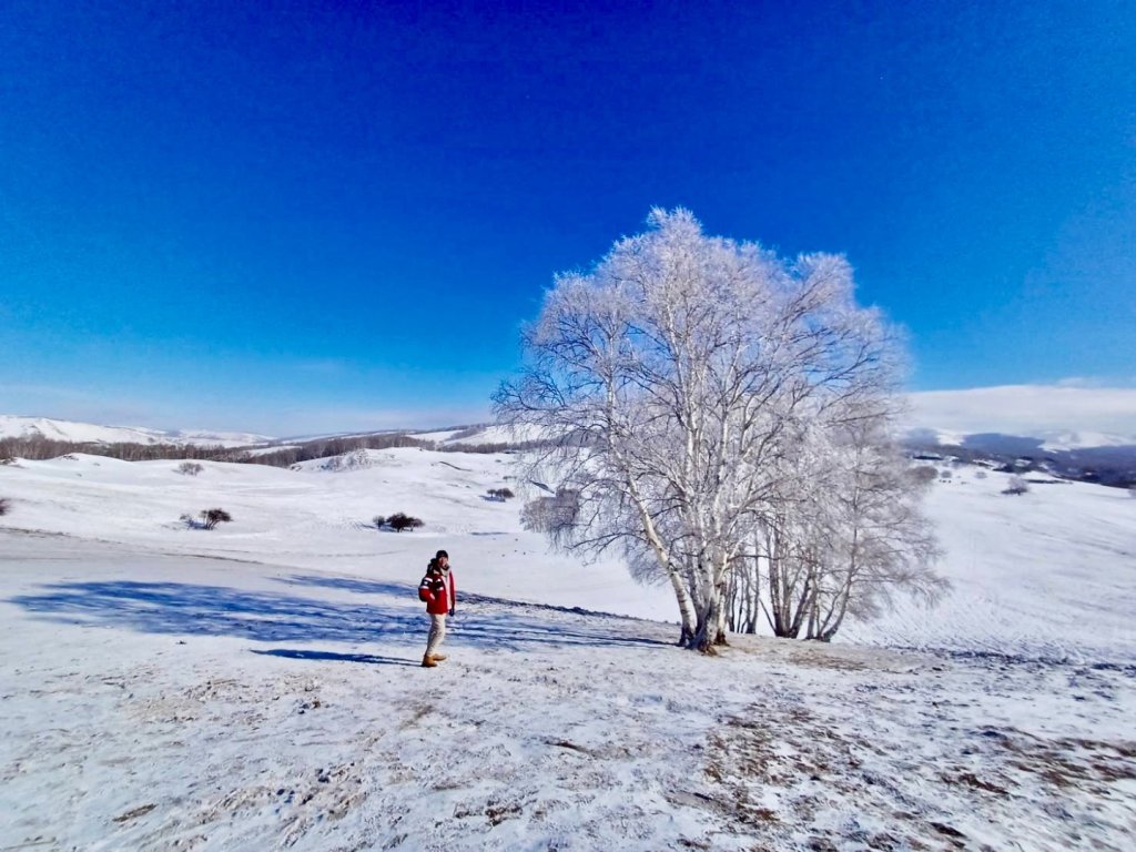 ㄧ路向北尋雪封面圖