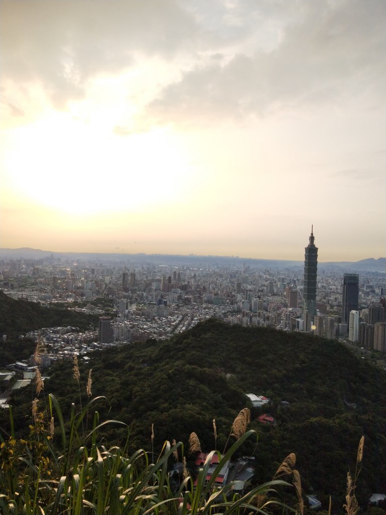 南港山縱走親山步道(拇指山、南港山、象山、九五峰)_1820244