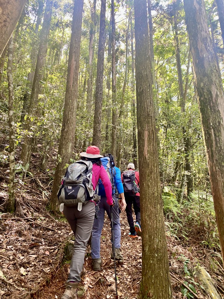 醜崠山納涼趣    2024/6/23_2534849