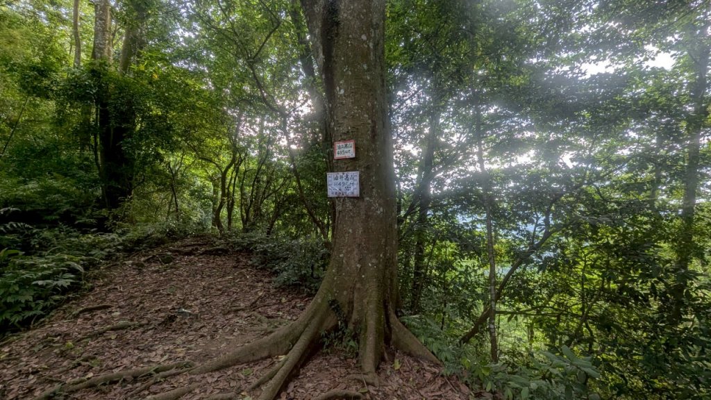 114.06.14雙石縱走&石門水庫-石牛山之旅_2812310