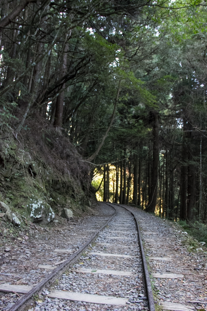 特富野古道_17732