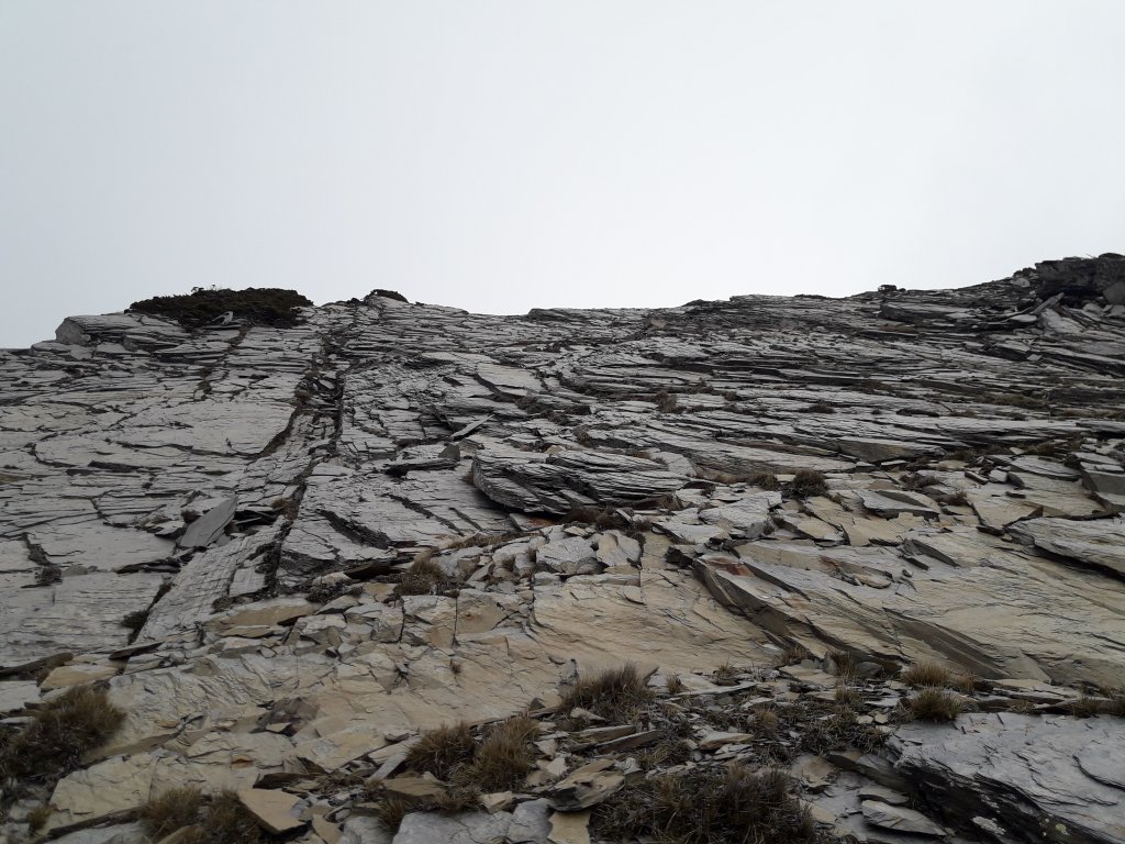 2019南湖大山_562872