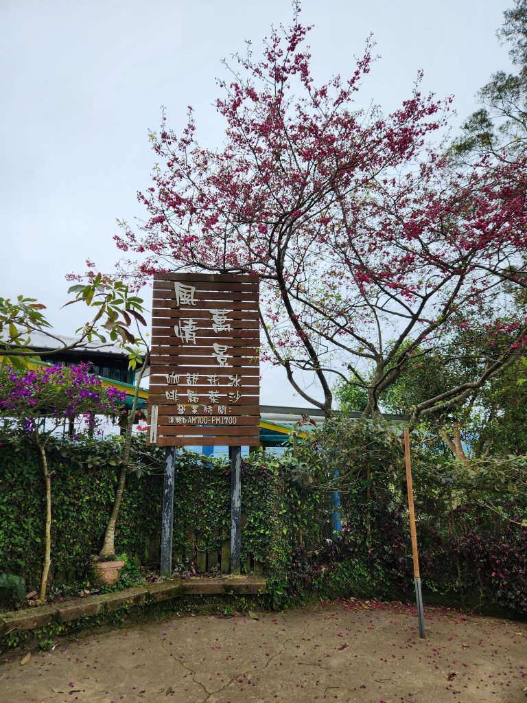 112/2/23龍鳳連稜_2148152