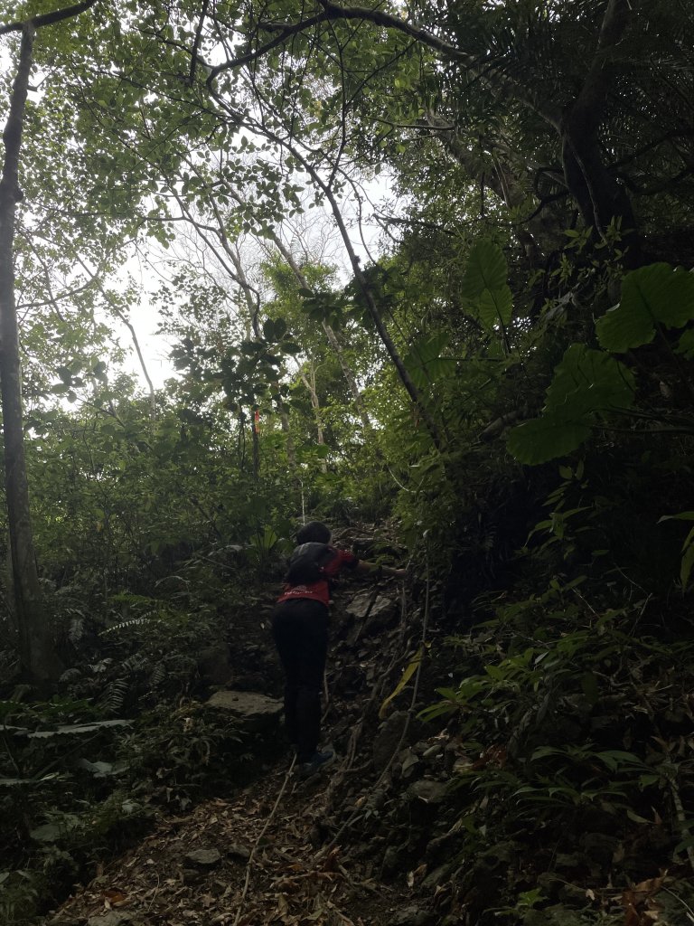 小百岳｜屏東獅子鄉女仍山_1606842