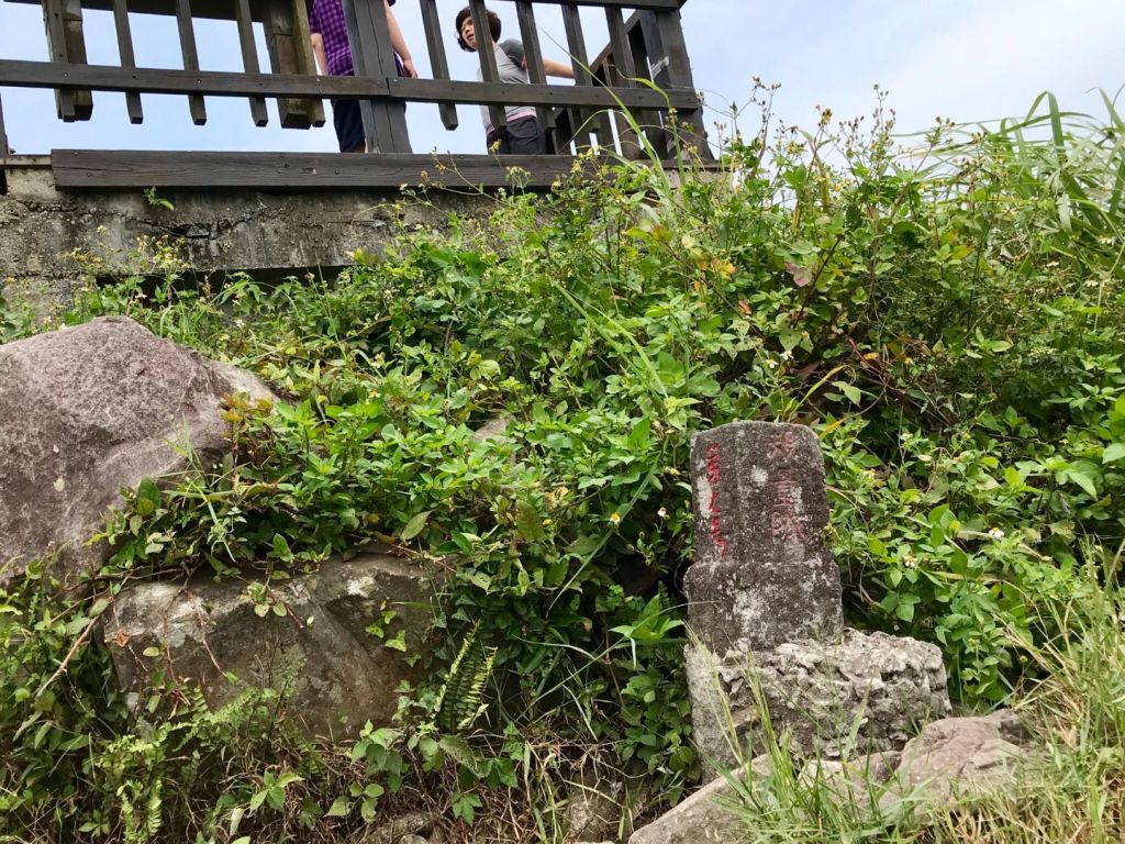 觀音山硬漢嶺環走占山鷹仔尖_350897