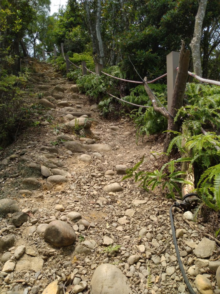 銅鑼 雙峰山 北峰/西峰 小O環形_949116