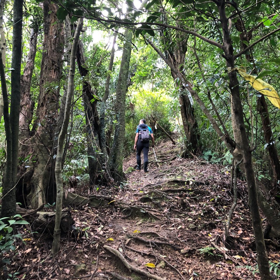 畝畝山、青林山、石古井、石硿子瀑布、石硿子古道O走_1492684