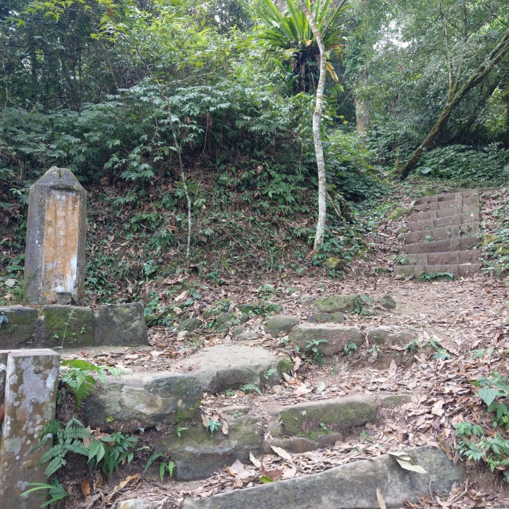 馬那邦山步道_715734