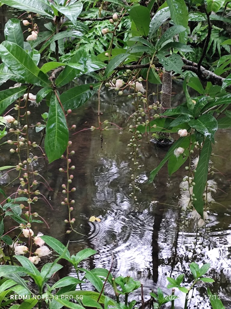 大安森林公園【走路趣尋寶】【臺北健走趣】_2536302