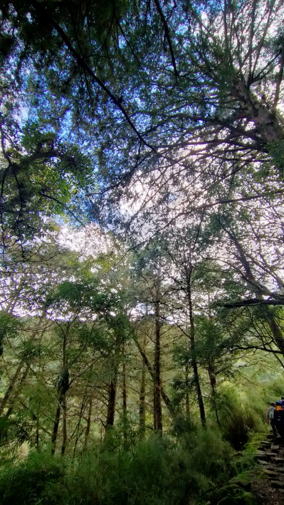 石水山 真鹿林山 鹿林天文台_1492523